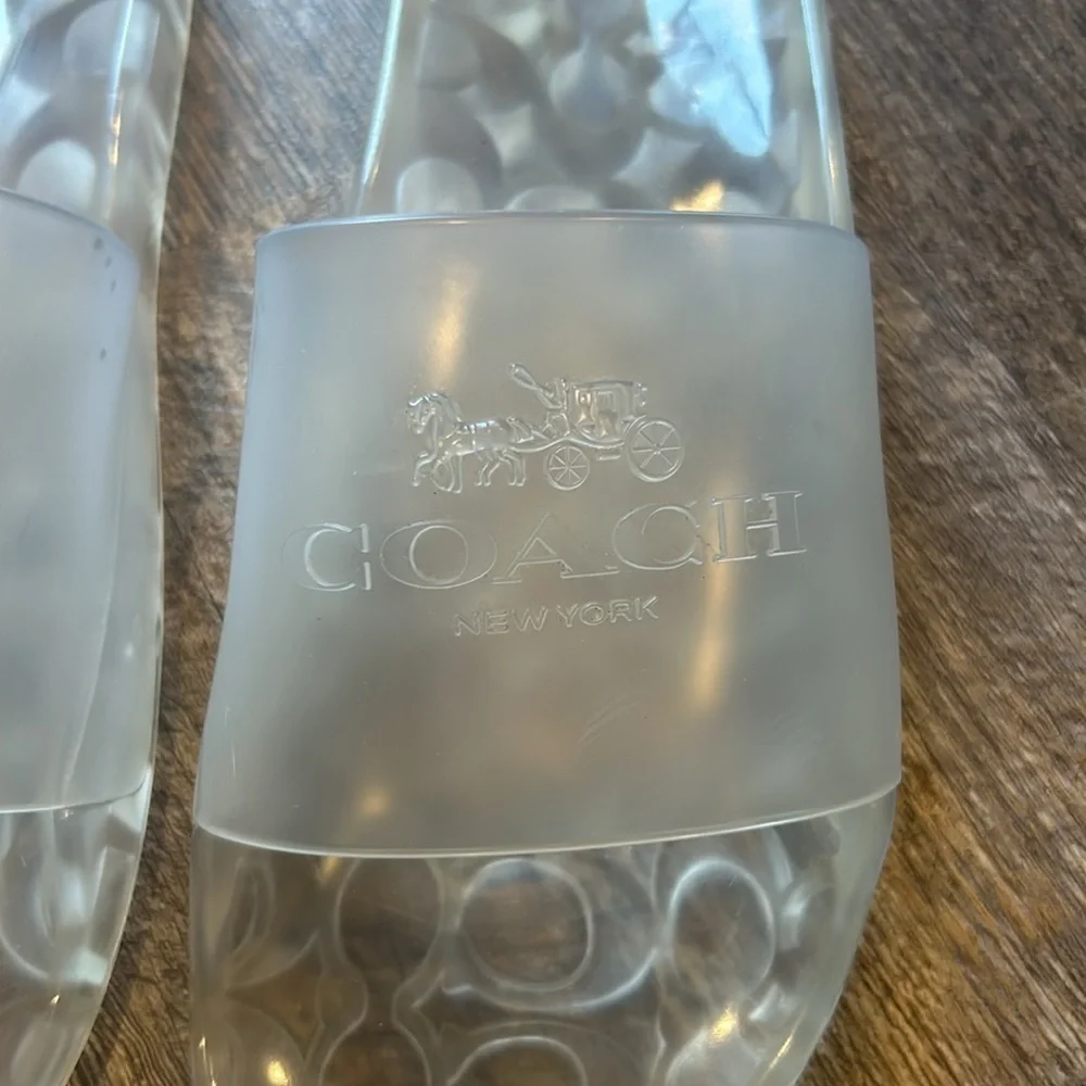 Coach size clear slides